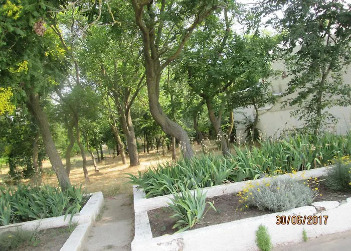 уютная квартира-море -пляж лузановка * Odesa